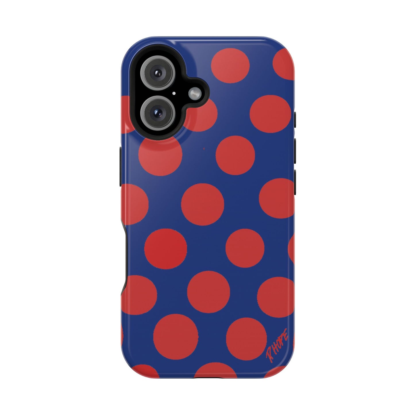 AMERICAN POLKA CASE